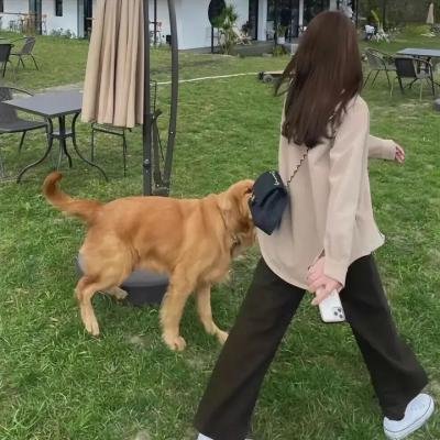 伽塔·马塔拉佐